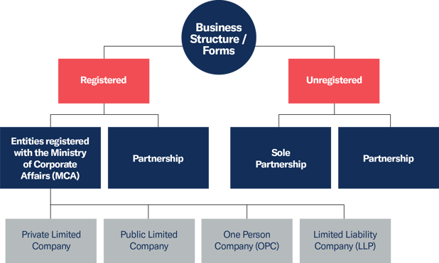 Understanding Business Structures in India